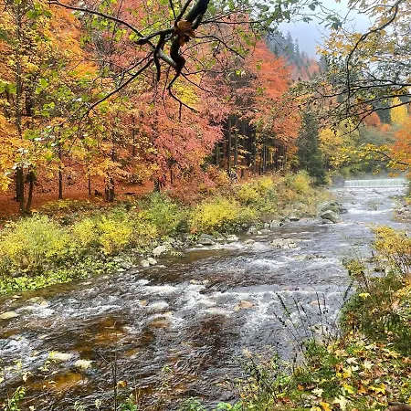 Mountain By The River - Base Camp Medvědín Kemp