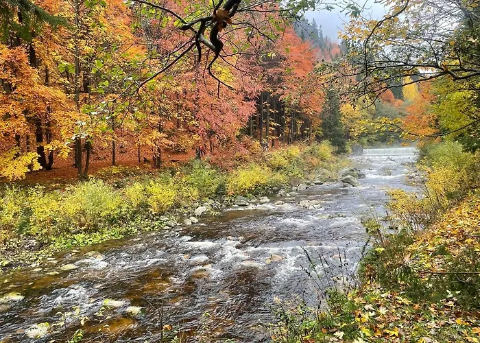 Mountain By The River - Base Camp Medvedin 营地