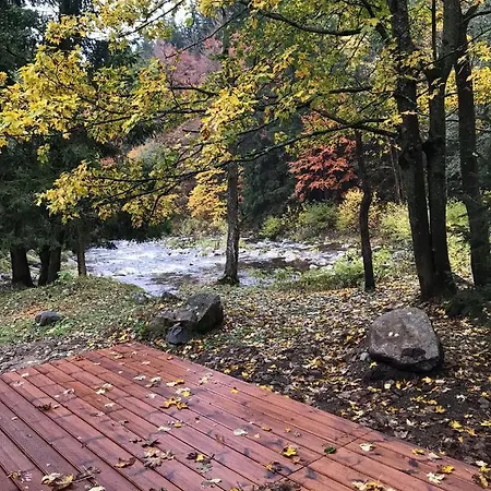 Mountain By The River - Base Camp Medvedin Camping